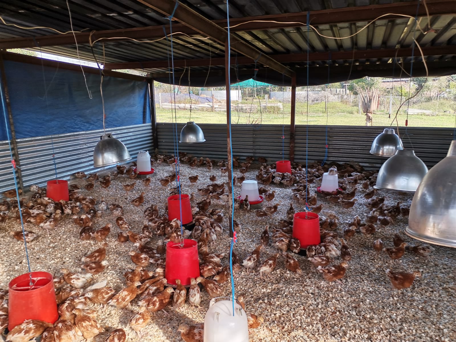 Wilcom Farming