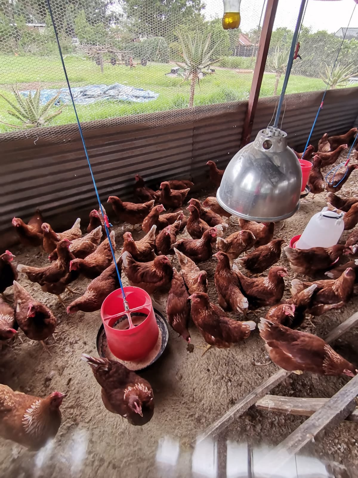 Wilcom Farming