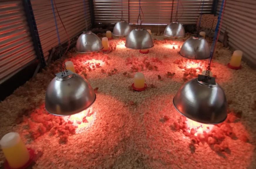 Wilcom Farming