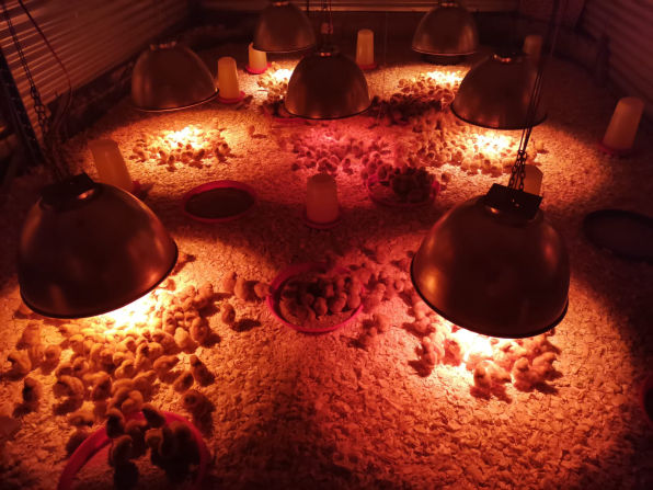 Wilcom Farming