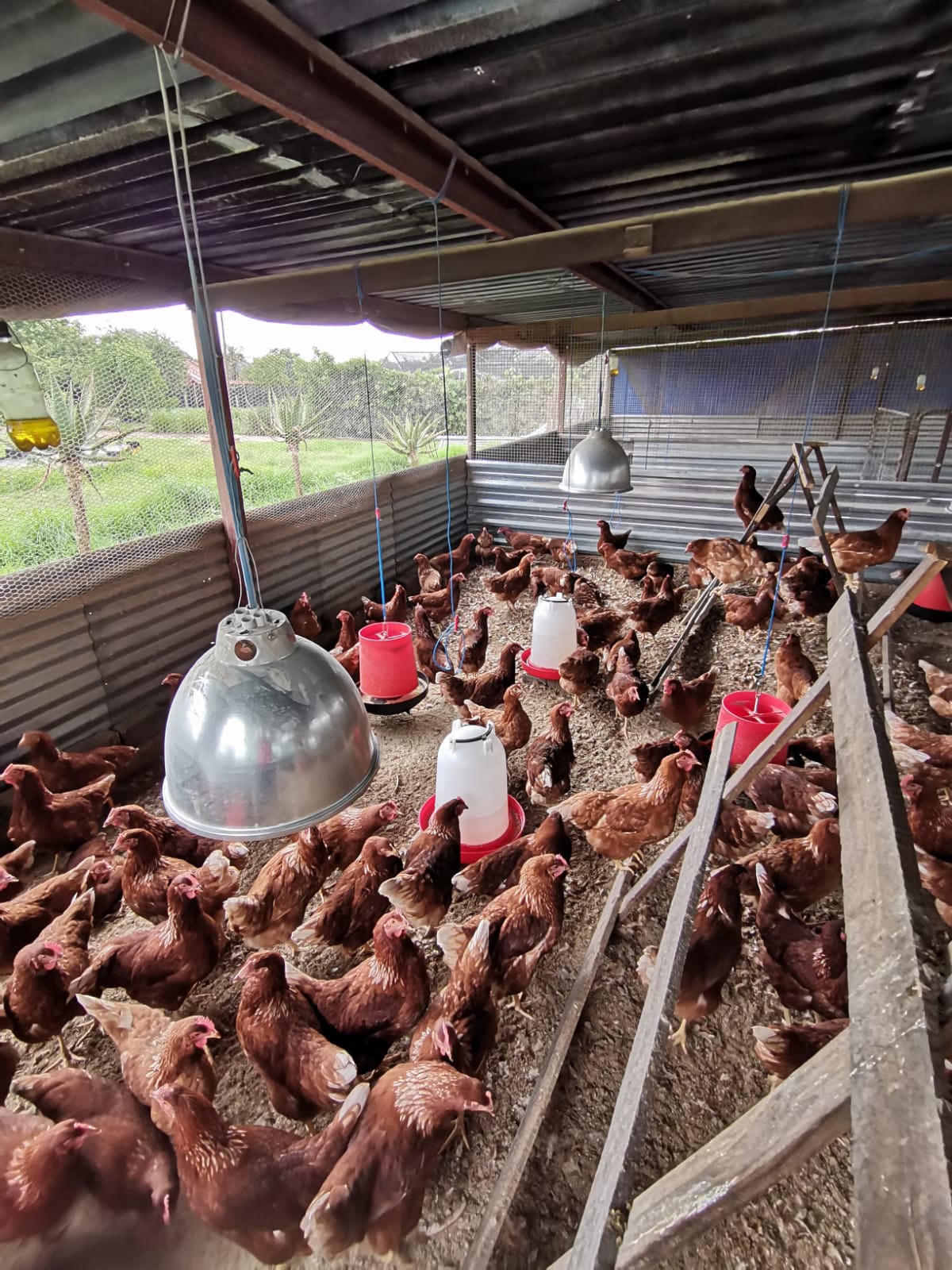 Wilcom Farming
