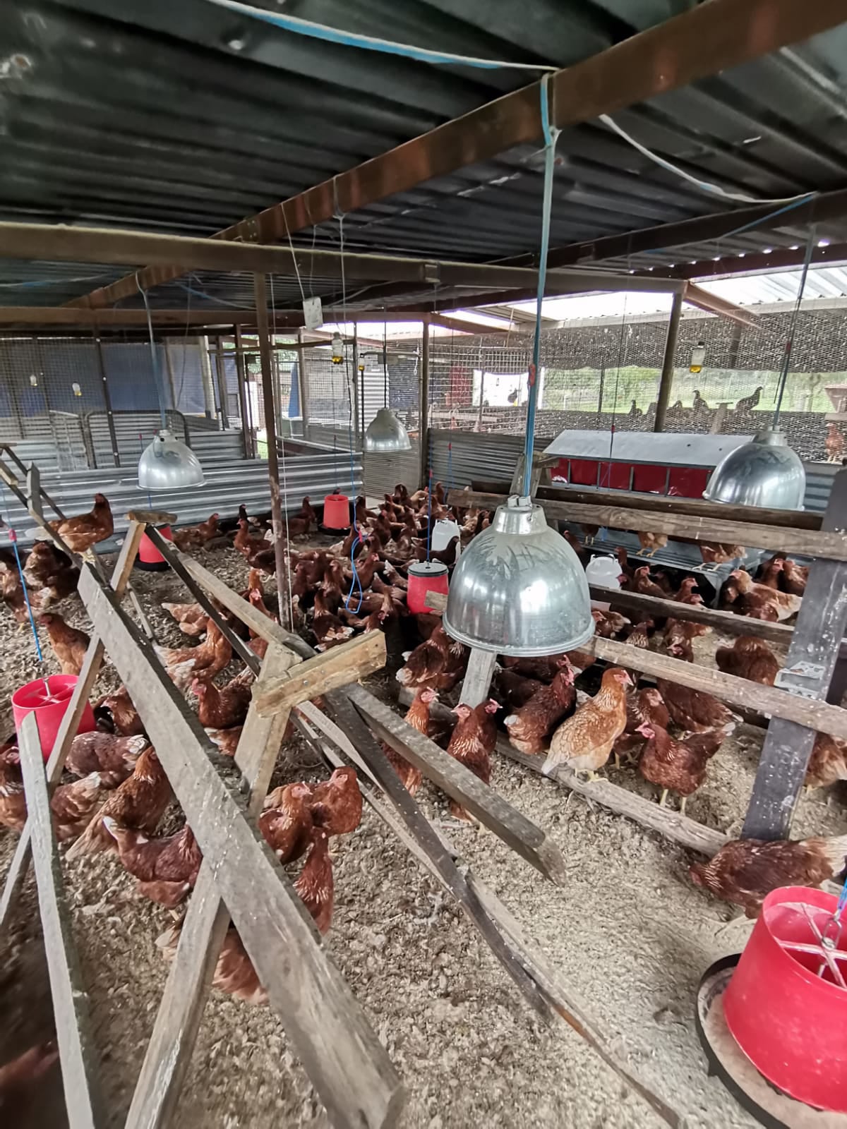Wilcom Farming